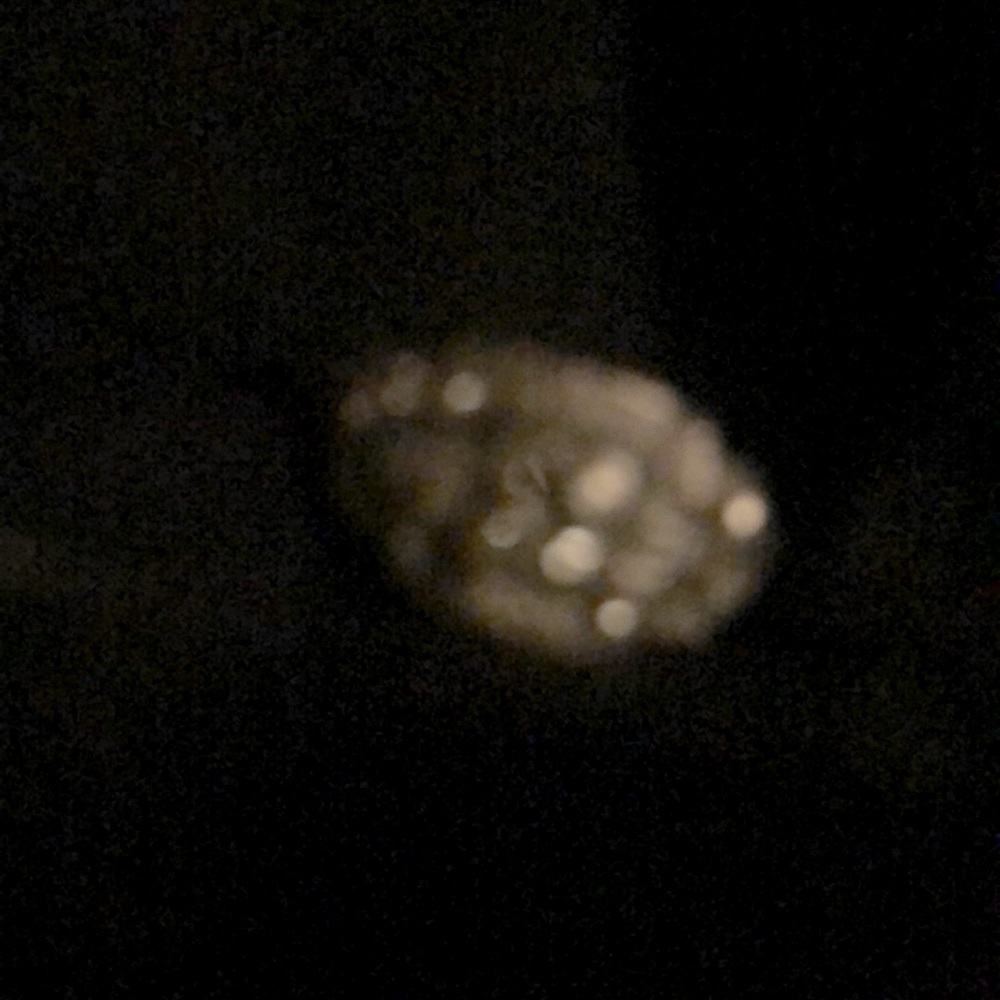 1930’s platinum Diamond ring, size 7 and stunning!